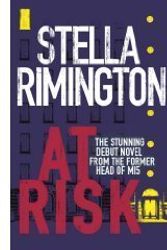 Cover Art for 9781405610063, At Risk [Large Print] by Stella Rimington