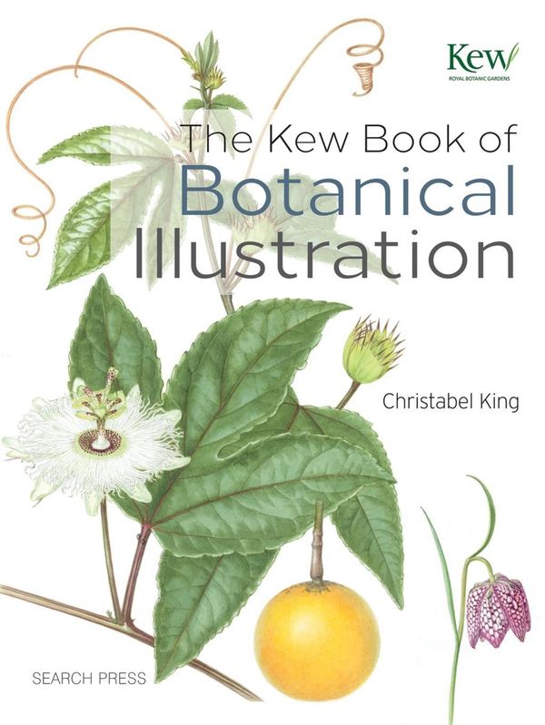 Cover Art for 9781844489473, The Kew Book of Botanical Illustration by Christabel King