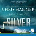 Cover Art for B07Y284JXB, Silver by Chris Hammer