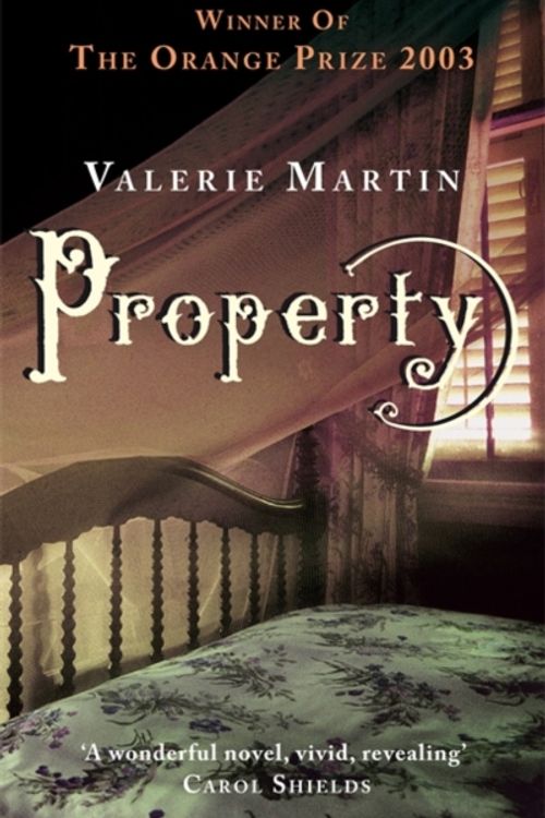 Cover Art for 9780349117324, Property by Valerie Martin