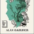 Cover Art for 9781668025512, Treacle Walker by Alan Garner