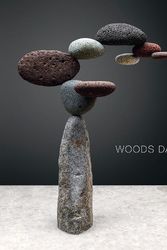 Cover Art for 9791254600405, Woods Davy: Sculptures by Preface by Suzanne Muchnic, Shana Nys Dambrot