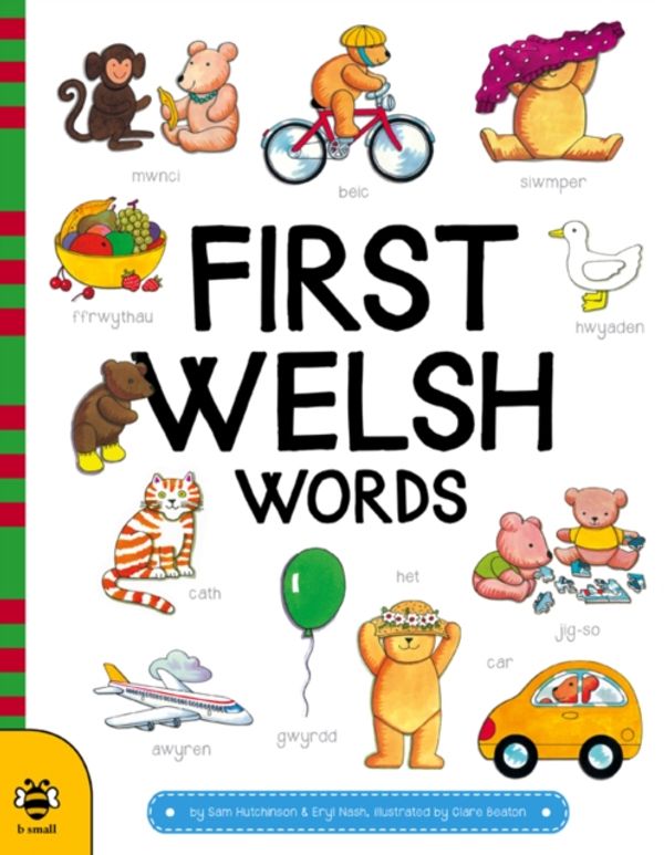 Cover Art for 9781911509189, First Welsh Words by Sam Hutchinson