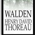 Cover Art for 9781985383739, Walden by Henry David Thoreau