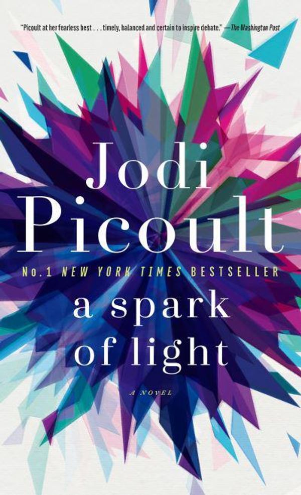 Cover Art for 9780593129210, A Spark of Light: A Novel by Jodi Picoult