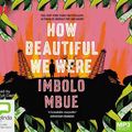 Cover Art for 9780655675037, How Beautiful We Were by Imbolo Mbue