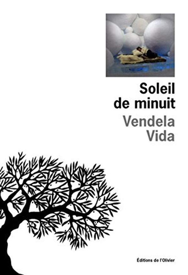 Cover Art for 9782879295701, soleil de minuit by Vendela Vida