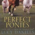 Cover Art for 9780340736227, Perfect Ponies 3 in 1 by Lucy Daniels