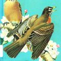 Cover Art for 9780307635051, Birds by Herbert Spencer Zim