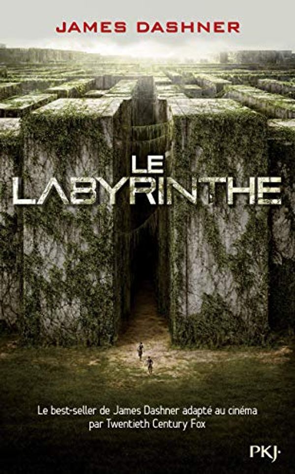 Cover Art for 9782266200127, L'épreuve, Tome 1 : Le Labyrinthe by James Dashner