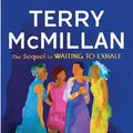 Cover Art for 9781594134692, Getting to Happy by Terry McMillan
