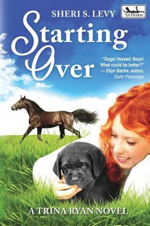 Cover Art for 9781935460770, Starting Over: A Trina Ryan Novel by Sheri S. Levy