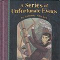 Cover Art for 9781405222860, A Series of Unfortunate Events : Book The Third: The Wide Window by Lemony Snicket