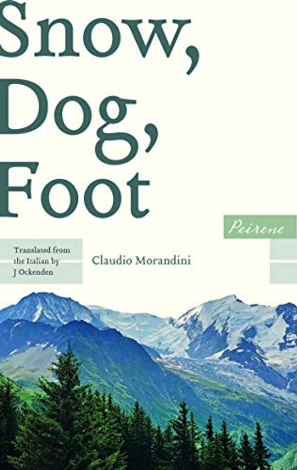 Cover Art for B084KNJNHD, Snow, Dog, Foot by Claudio Morandini