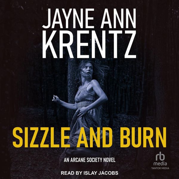 Cover Art for 9798765089385, Sizzle and Burn by Jayne Ann Krentz