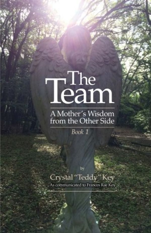 Cover Art for 9781544935928, The Team: A Mother's Wisdom from the Other Side - Book 1: Volume 1 (The Team Book Series) by Crystal "Teddy" Key