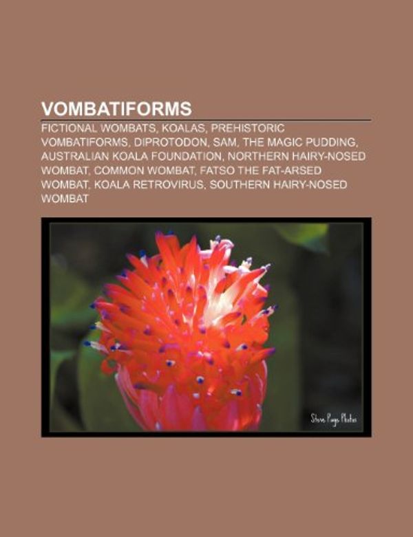 Cover Art for 9781156621585, Vombatiforms: Fictional Wombats, Koalas, Prehistoric Vombatiforms, Diprotodon, Sam, the Magic Pudding, Australian Koala Foundation by Books Llc