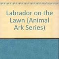 Cover Art for 9780606343671, Labrador on the Lawn by Lucy Daniels