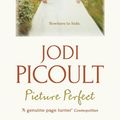 Cover Art for 9781848946187, Picture Perfect by Jodi Picoult