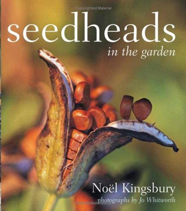 Cover Art for 9780881927962, Seedheads in the Garden by KINGSBURY
