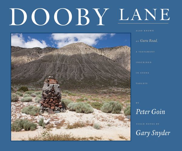 Cover Art for 9781619027909, Dooby LaneA Testament Inscribed in Stone Tablets by Deway... by Peter Goin