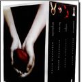 Cover Art for 9788598078496, Box Stephenie Meyer: Crepúsculo + Lua Nova + Eclipse + Amanhecer (IN PORTUGUESE) by Stephenie Meyer