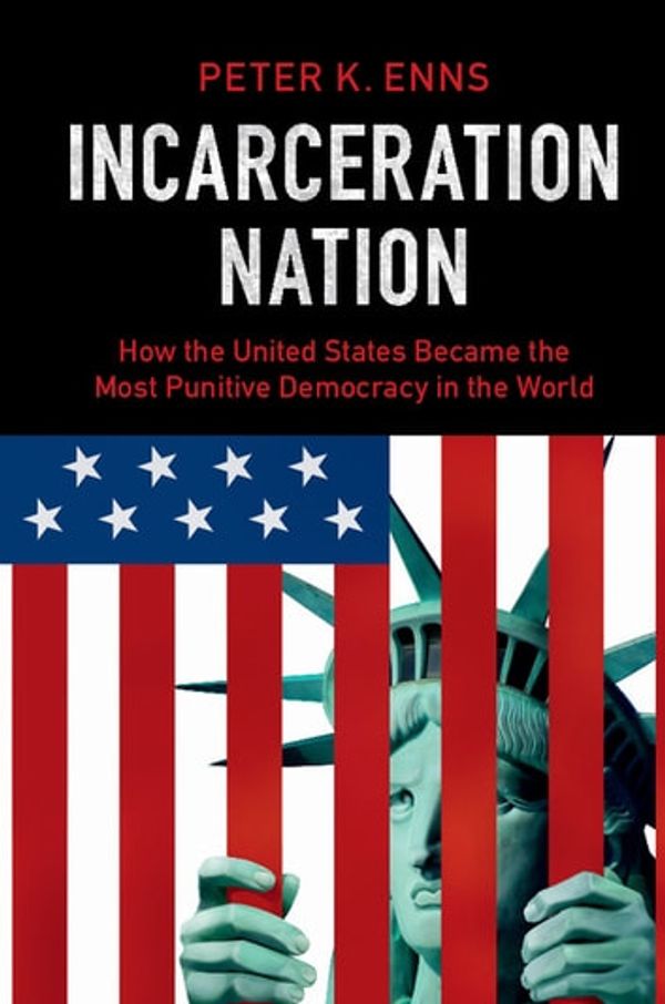 Cover Art for 9781316552070, Incarceration Nation by Peter K. Enns