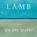 Cover Art for 9780061941023, We Are Water by Lamb, Wally
