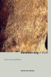 Cover Art for 9781570270932, Between Dog and Wolf by David Levi Strauss