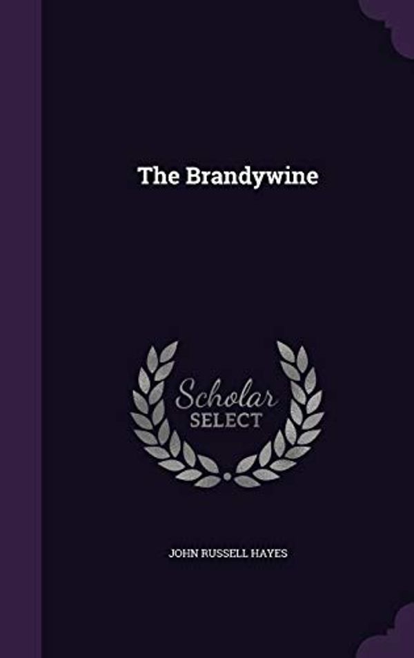 Cover Art for 9781359485908, The Brandywine by John Russell Hayes