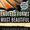 Cover Art for 9780393327793, Endless Forms Most Beautiful: The New Science of Evo Devo and the Making of the Animal Kingdom by Sean B. Carroll