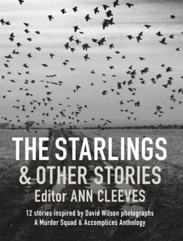 Cover Art for 9781909823747, The Starlings & Other Stories by Murder Squad