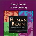 Cover Art for 9780815189930, Study Guide to Accompany The "Human Brain" by John Nolte