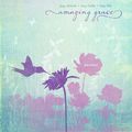 Cover Art for 9781609369132, Amazing Grace Journal by Ellie Claire