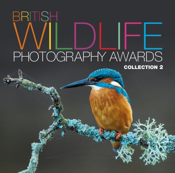 Cover Art for 9780749571153, British Wildlife Photography Awards by 