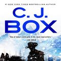 Cover Art for 9780593331309, Storm Watch by C. J. Box