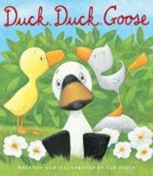 Cover Art for 9781906250317, Duck Duck Goose by Hills, Tad