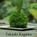 Cover Art for 9781310412240, Kokedama: A step-by-step guide by Takaaki Kagawa