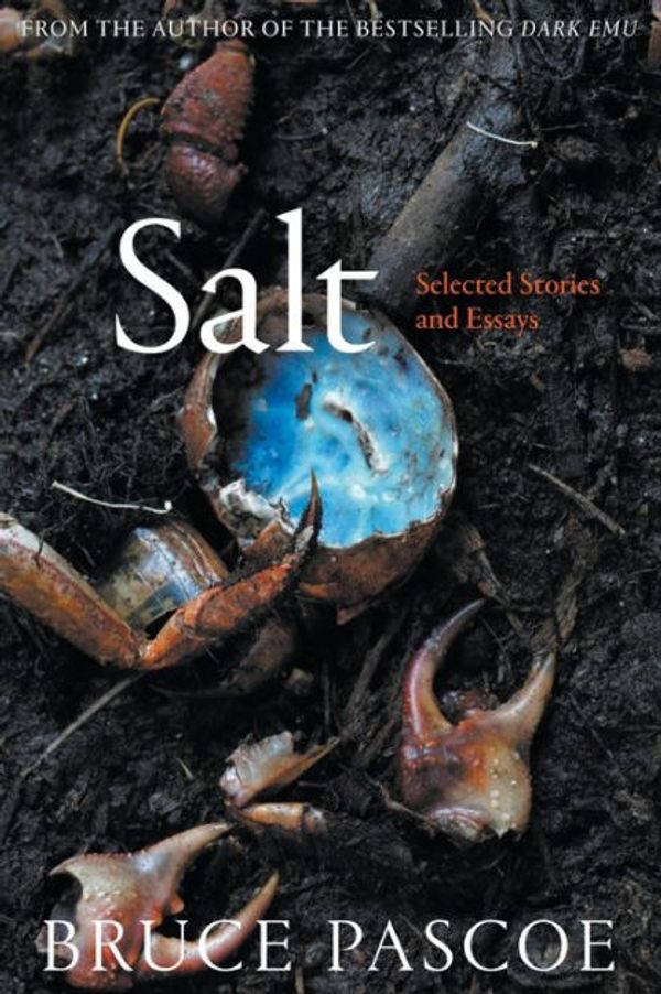 Cover Art for 9780655622727, Salt by Bruce Pascoe