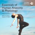 Cover Art for 9781292216119, Essentials of Human Anatomy & Physiology by Elaine Marieb, Suzanne Keller
