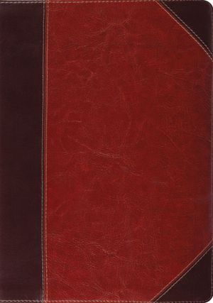 Cover Art for 9781433503795, ESV Study Bible by Crossway Bibles