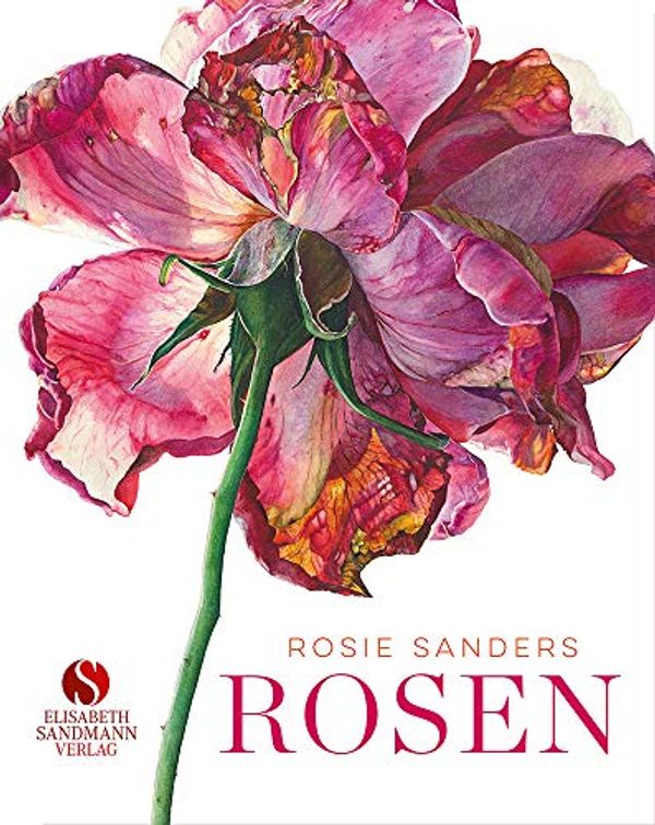 Cover Art for 9783945543702, Rosen by Rosie Sanders