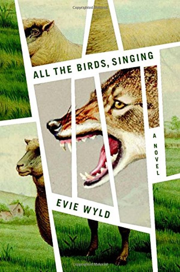 Cover Art for 9780307907769, All the Birds, Singing by Evie Wyld