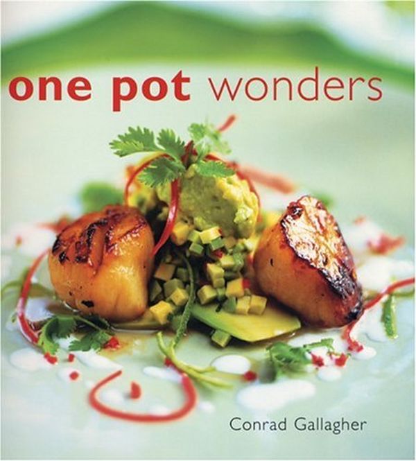 Cover Art for 9781904920151, One Pot Wonders by Conrad Gallagher