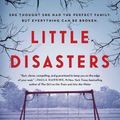 Cover Art for 9781501172236, Little Disasters: A Novel by Sarah Vaughan