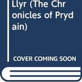 Cover Art for 9780606025720, The Castle of Llyr by Lloyd Alexander
