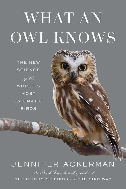 Cover Art for 9780593298886, What an Owl Knows: The New Science of the World's Most Enigmatic Birds by Jennifer Ackerman