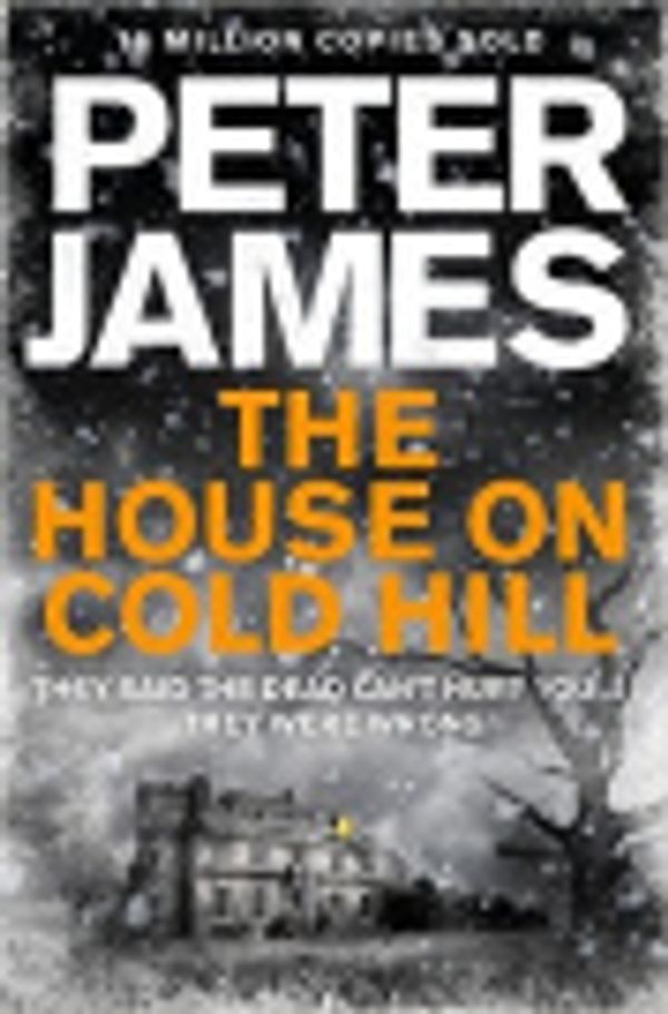 Cover Art for 9781509816903, The House on Cold Hill by Peter James
