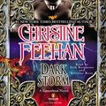 Cover Art for B009KF00GK, Dark Storm by Christine Feehan