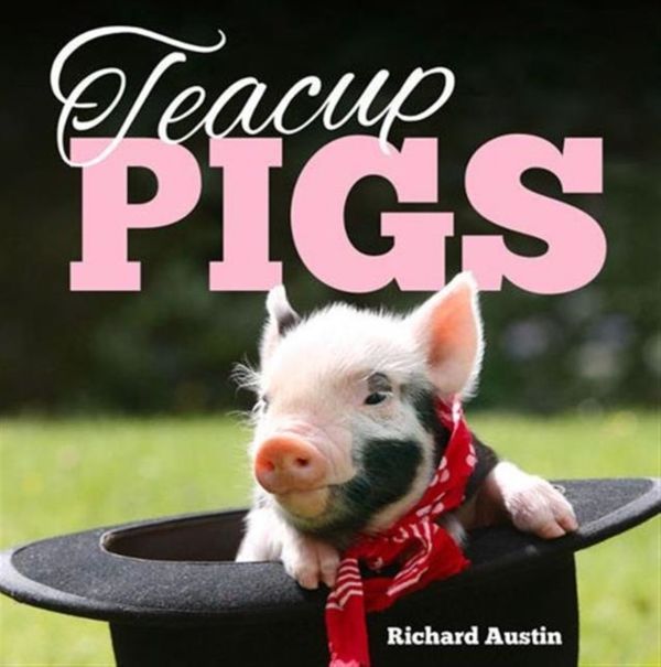 Cover Art for 9781849535403, Teacup Pigs by Richard Austin